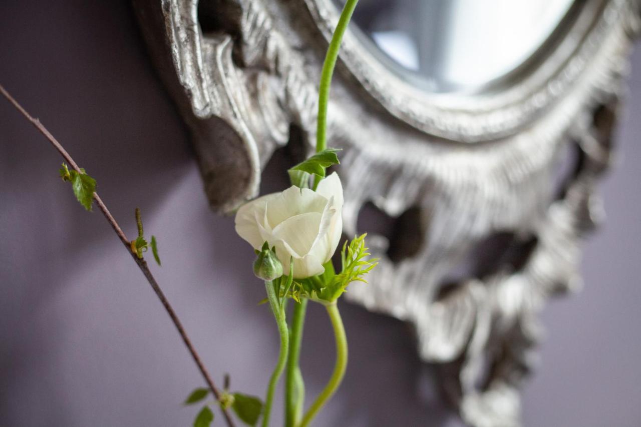 Bed and Breakfast Dorset House Lyme Regis Exteriér fotografie